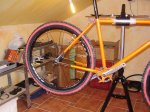 fotos 003.jpg
