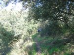 DSC03040 (Medium).JPG