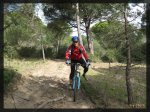 La arena del pinar de La BreÃ±a_reducudo.jpg
