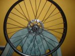 DSC04128.JPG