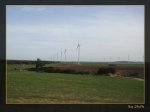 Los molinos de viento.jpg