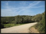 La zona de los molinos de Vejer.jpg