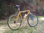 Cazorla_05_06 (88)modif.jpg