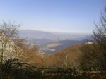 DSC00102.jpg