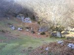 DSC00105.jpg