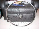 DSC00095.jpg
