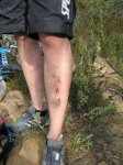 IMG_9533.jpg