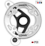 p30.png