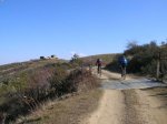 DSCN2639.JPG
