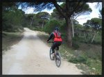La subida al faro.jpg