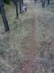 023sendaftecarrasco.jpg