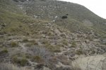 DSC04624_resize.JPG