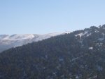 Foto6.JPG
