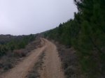 Imagen022.jpg