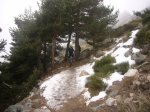 Foto46.JPG