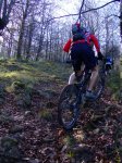 2008-02-15Aralar033.JPG
