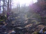 2008-02-15Aralar080.JPG