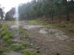 DSCN0517.jpg