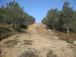 DSCN0503.jpg