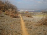 DSC04688_resize.JPG