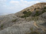DSC04723_resize.JPG