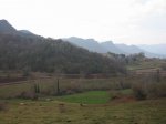 IMG_4806.JPG