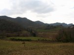 IMG_4812.JPG