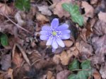 IMG_4837.JPG