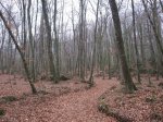 IMG_4844.JPG