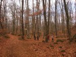 IMG_4853.JPG
