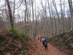 IMG_4851.JPG