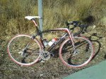DSC00103.jpg