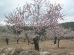 DSCN2261.jpg