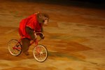 6monoenbici.jpg