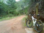BIKE1.jpg