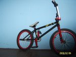 SV102546.jpg