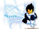 luchador_vegeta.jpg