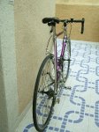 vitus-002.jpg