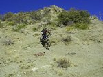 P2090010-a.jpg