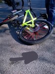Bicis (1163) (Medium).jpg