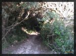 El camino_la entrada.jpg