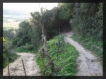 El camino_la salida.jpg