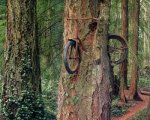bici.jpg