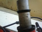 DSC01260.JPG
