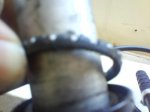 DSC01262.JPG