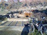 06-12-07_1013.jpg