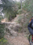 trankito.gif