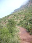 DSCN1063.jpg