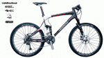 ebd6181316.gif