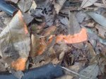 DSC00092.JPG